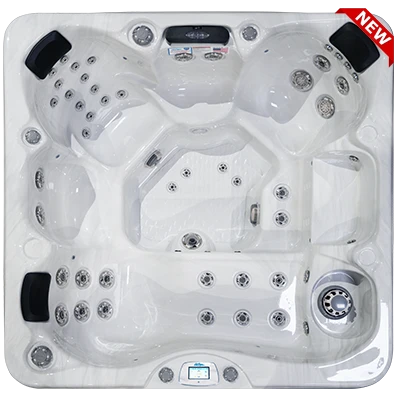 Avalon-X EC-849LX hot tubs for sale in 
